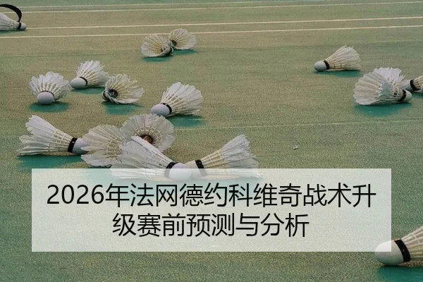 2026年法网德约科维奇战术升级赛前预测与分析